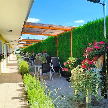 Cozy Room With Garden In Bratislava Bagian luar foto
